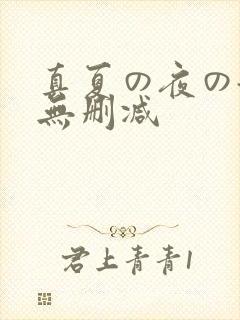 真夏の夜の淫梦无删减