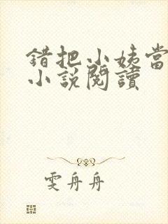 错把小姨当媳妇小说阅读