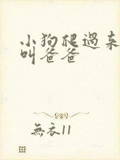 小狗爬过来跪下叫爸爸