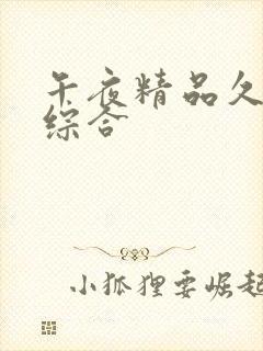 午夜精品久久久综合