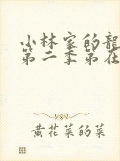 小林家的龙女仆第二季第在线高清封面