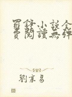 罗铮小说全文免费阅读无弹窗