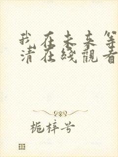 我在未来等你高清在线观看免费封面