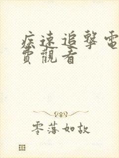 疾速追击电影免费观看