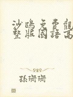 沙鸥免费观看完整版国语高清在线封面