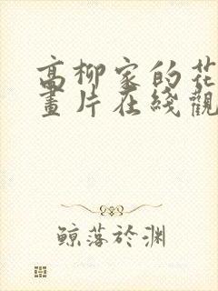 高柳家的花嫁动画片在线观看