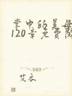 掌中的美母版主120章免费阅读