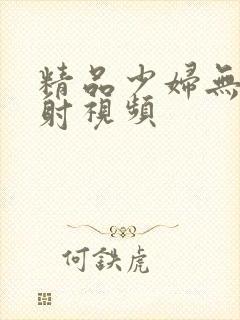 精品少妇无套内射视频