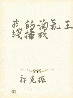 我的淘气王子在线播放