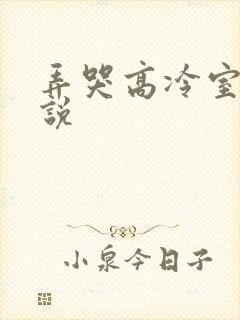弄哭高冷室友小说
