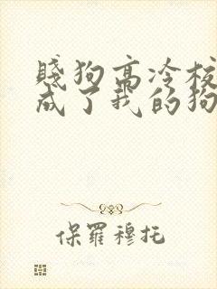 贱狗高冷校草竟成了我的狗小说