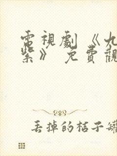 电视剧 《九重紫》 免费观看