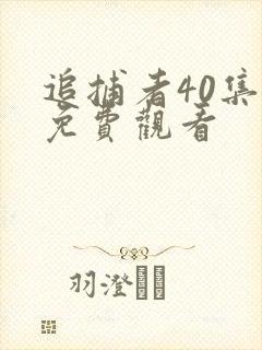 追捕者40集全免费观看