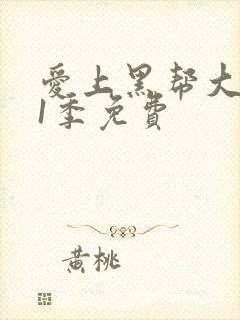 爱上黑帮大佬第1季免费