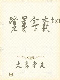 踏星全本txt免费下载