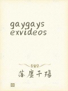 gaygaysexvideos
