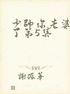 少帅你老婆又跑了第5集