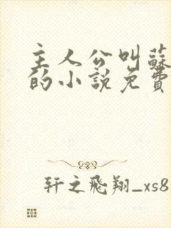 主人公叫苏铭渊的小说免费阅读