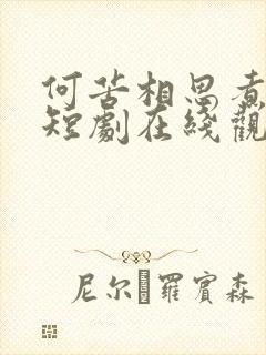 何苦相思煮余年短剧在线观看全集封面