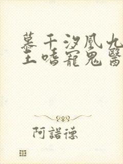 慕千汐凰九夜邪王嗜宠鬼医狂妃