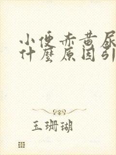 小便赤黄尿频是什么原因引起的