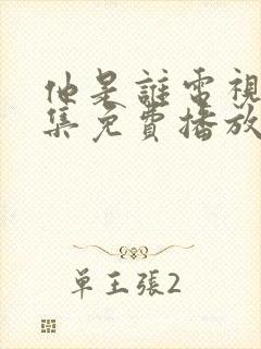 他是谁电视剧全集免费播放