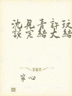 沈见青许玟玟小说完结大结局了吗