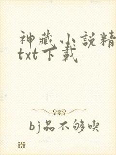 神藏小说精校版txt下载