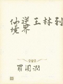 仙逆王林到什么境界