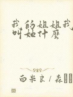 我的姐姐我儿子叫她什么封面