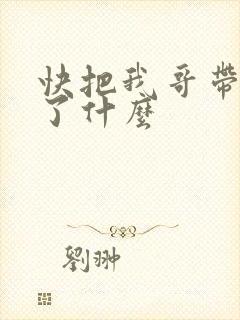快把我哥带走讲了什么封面