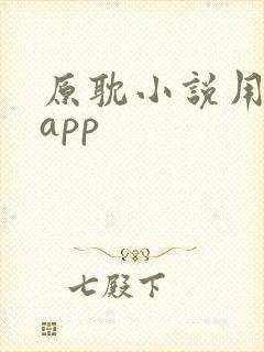 原耽小说用什么app