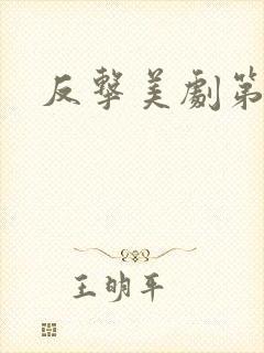 反击美剧第八季