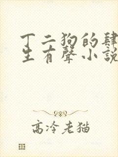 丁二狗的肆意人生有声小说