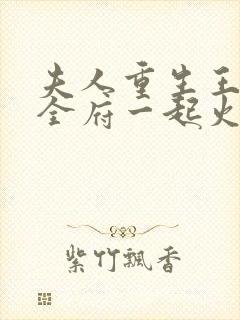 夫人重生王爷带全府一起火葬场的小说封面