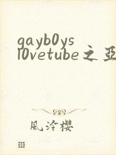 gayb0ysl0vetube之亚洲gay封面