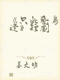 《只此飞鸟不相逢》短剧