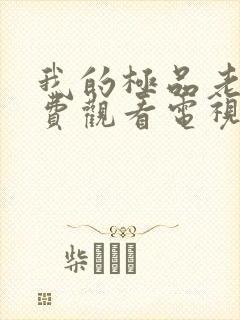 我的极品老婆免费观看电视剧全集