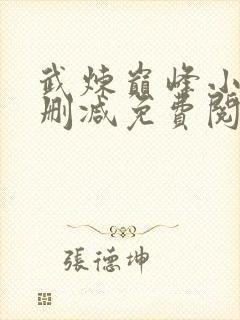 武炼巅峰小说无删减免费阅读封面