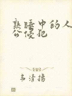 熟睡中的人妻被公侵犯