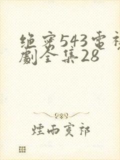 绝密543电视剧全集28