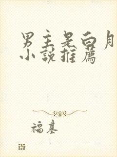 男主是白月光的小说推荐