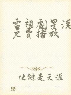 电视剧星汉灿烂免费播放