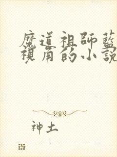 魔道祖师蓝忘机视角的小说