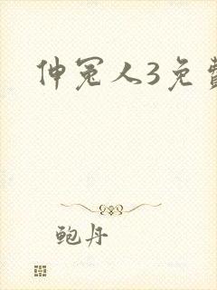 伸冤人3免费封面