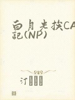 白月光挨CAO记(NP)
