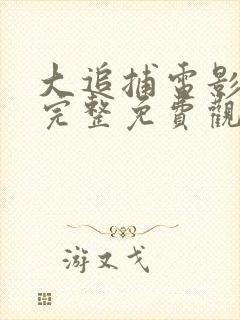 大追捕电影在线完整免费观看国语