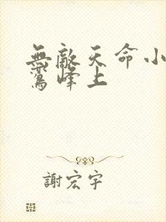 无敌天命小说青鸾峰上封面