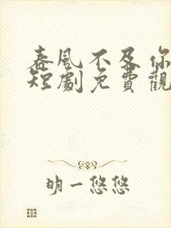 春风不及你情深短剧免费观看全集