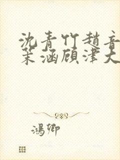 沈青竹赵音念江茉涵顾津大结局封面